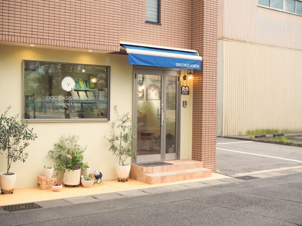 岐阜市のビションフリーゼのカットが得意なトリミングサロン・ペットホテル