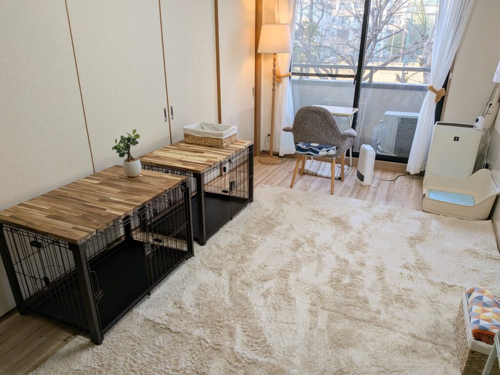 岐阜市のペットホテル コロンの6畳個室