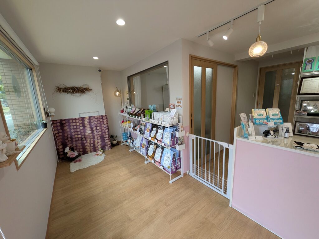 圧迫感のない広々としたスペースで、一頭一頭を大切にお預かりします